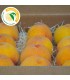 Caja de Melocotón de Cieza